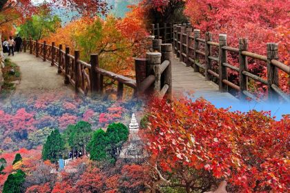 Yuanfeiweifang Restaurant (kuiwenmen)