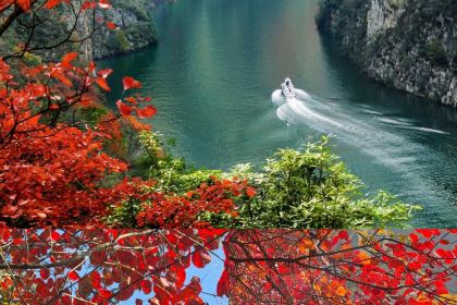 汪家馆中式菜馆(江山红叶店)