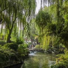 JIN CHUN XI User Photo