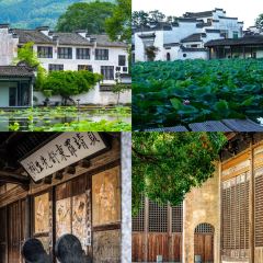 灵山酒酿 User Photo