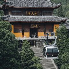 王莊阿咪大牌檔 （省體店）張用戶圖片