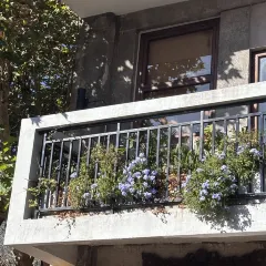 陶姐冷粉張用戶圖片