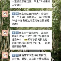 火山屋台·線食（新街口店）張用戶圖片