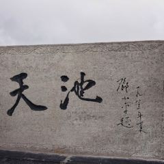 YNN User Photo