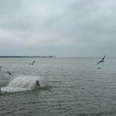 AI SHANG JUN User Photo