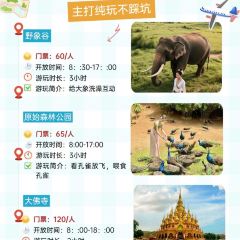 MANFEILONG User Photo