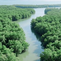 HENG XING FA User Photo