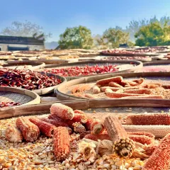 灵山酒酿 User Photo