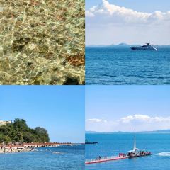 海島日記（養馬島店）張用戶圖片