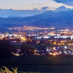 The Bear, The Fish, The Root & The Berry User Photo