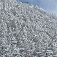 Yokote Sancho Hutte Kumo No Ue No Restaurant User Photo