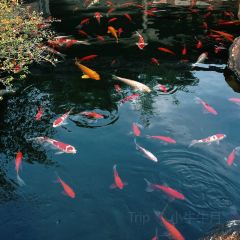 Laotaipo Restaurant (jiangnan) User Photo