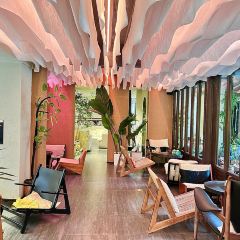 屋顶咖啡·日落甜茶·雪山花园 ·bistro 여행 사진