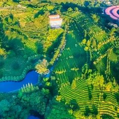 MAN XIANG SHU 여행 사진