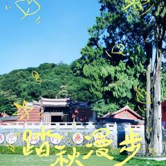 MAN XIANG SHU 여행 사진