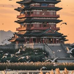 LAO SAN YANG User Photo