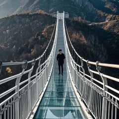 老马家羊杂碎店 User Photo