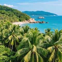 dan jia yu pai User Photo