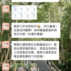 火山屋台·線食（新街口店）張用戶圖片