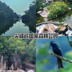 五指山亚泰雨林酒店·中餐厅 User Photo