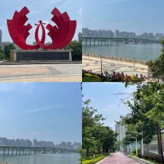 BAI YU DING DONG GUA ZHONG User Photo