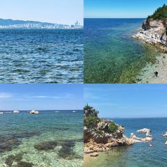 海島日記（養馬島店）張用戶圖片