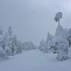 Yokote Sancho Hutte Kumo No Ue No Restaurant User Photo