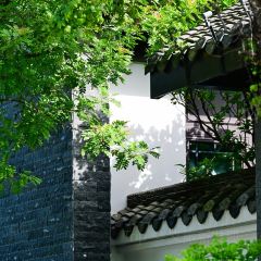 写城咖啡烘焙工坊店 User Photo