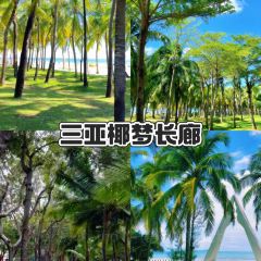 五指山亚泰雨林酒店·中餐厅 User Photo