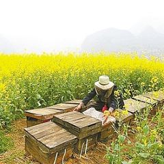 白家缸炉烧饼 User Photo