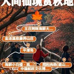 王莊阿咪大牌檔 （省體店）張用戶圖片