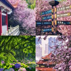 Zhan yi gong shi la zi Chicken (zhan yi) 여행 사진