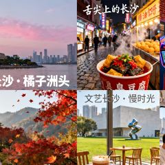 BEN LUO BO CAN YIN User Photo