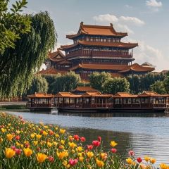 邢家锅贴老店·非遗·开封菜(金明广场店) User Photo