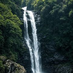 LAO SAN YANG User Photo