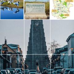 SHAN QING SHUI XIU LU SE CAN TING User Photo