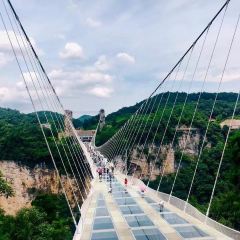 Tang you ba ba User Photo