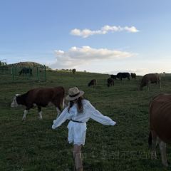 椿野咖啡馆(和顺店) User Photo