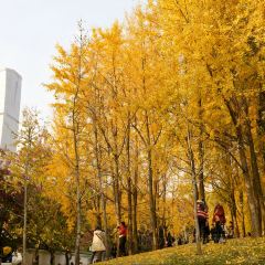 曹妹螺蛳粉(柳锌总店) User Photo