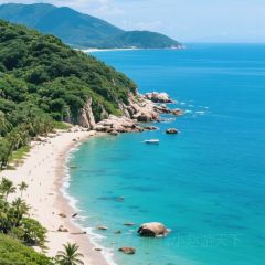 dan jia yu pai User Photo