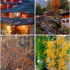 LIN SHANG REN JIA User Photo