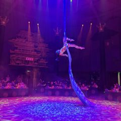 紅鼎艷張用戶圖片