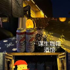 谋生咖啡馆 User Photo