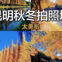 AI SHANG JUN User Photo