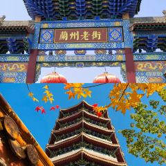 CHUN TAI SHOU ZHUA User Photo