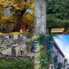 王天顺海苔饼 여행 사진