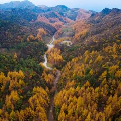 XIANG WEI CUN GU CHANG CAI User Photo