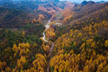 XIANG WEI CUN GU CHANG CAI