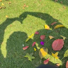 YING ZI YOU ZHA User Photo