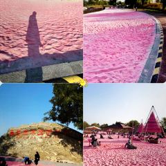 Song ji ba da wan User Photo
